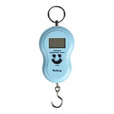 RuiChy Digital Hanging Weighing Scales for Fishing Luggage