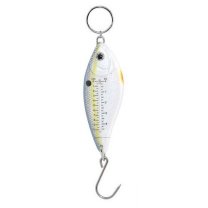 Tournament Fish Weighing Scales - Aquarium Images