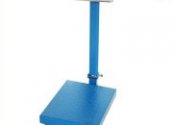 Weight measuring machine