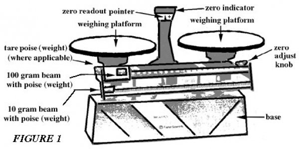 Weighing Scales