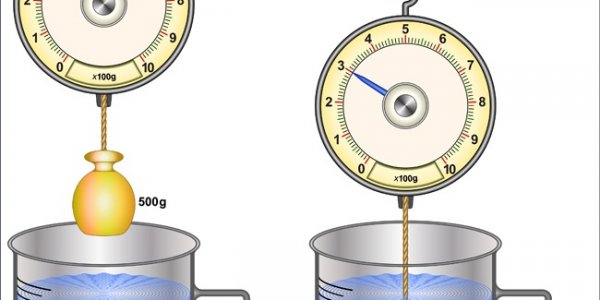 Weighing Scales